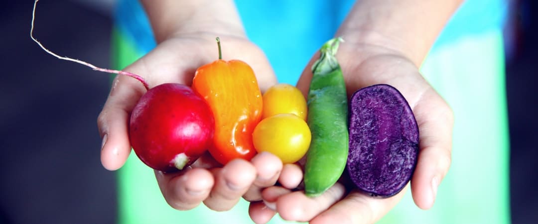dietary diversity: good or bad?
