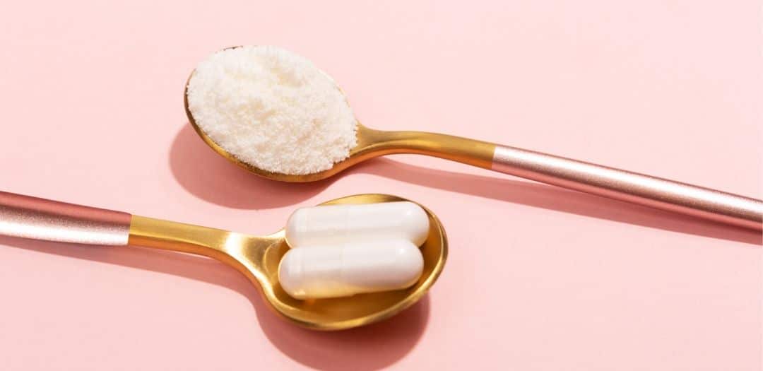 The Best Ingredients in Weight Loss Pills